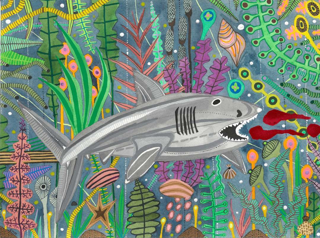 Œuvre originale ''Le requin du St-Laurent''