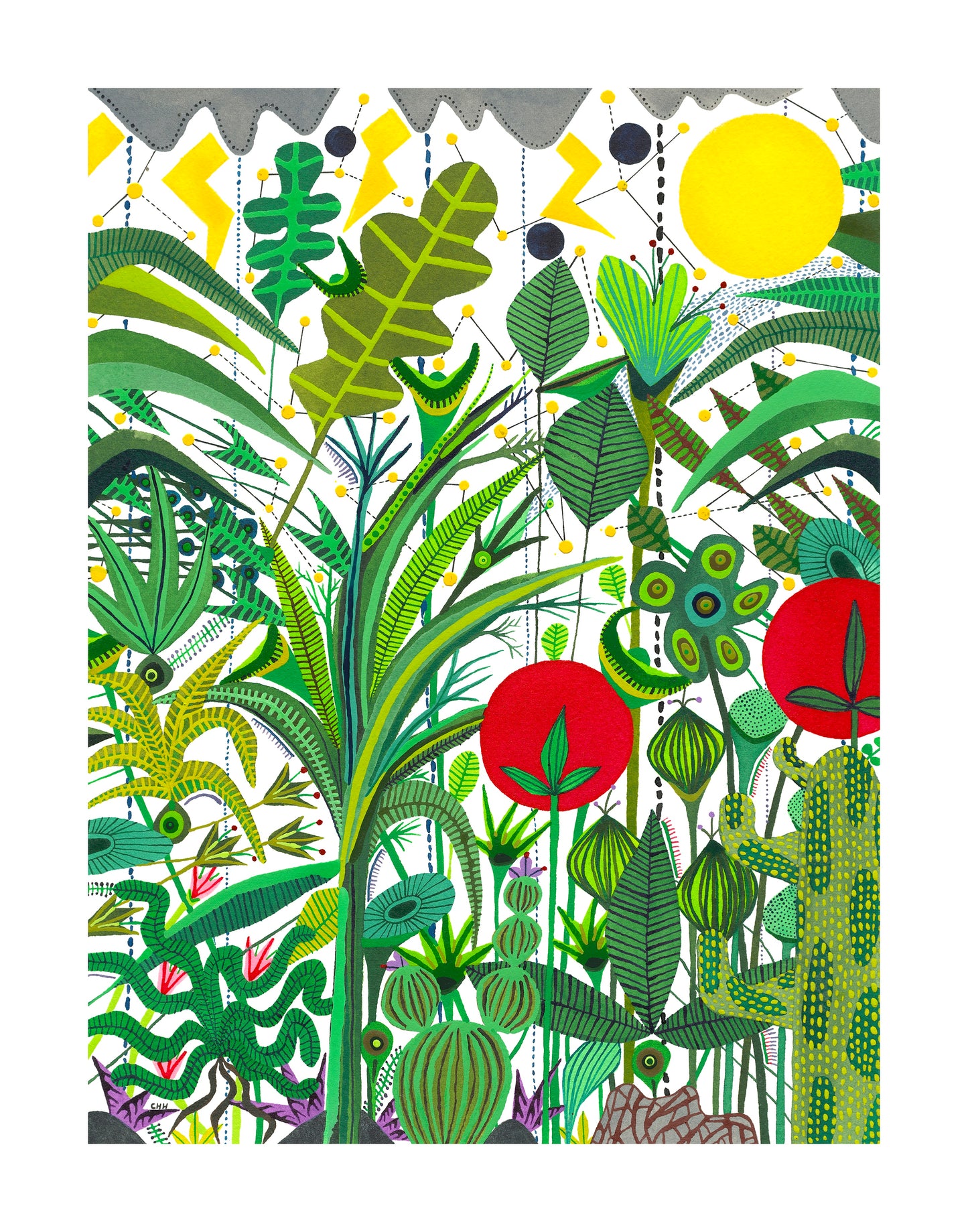 Affiche ''Mangrove''